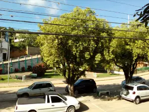 Square Dr. Antonio Alves Duarte