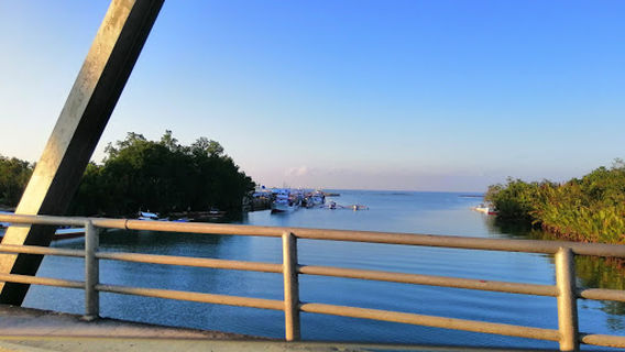 Loay Fish Port