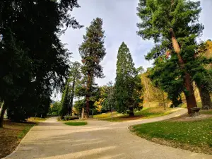 Monterron parkea