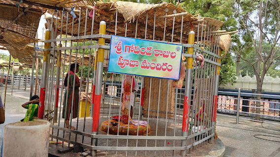 Sammakka Ammavari Gadde