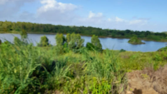 Mare aux Troix Ilots