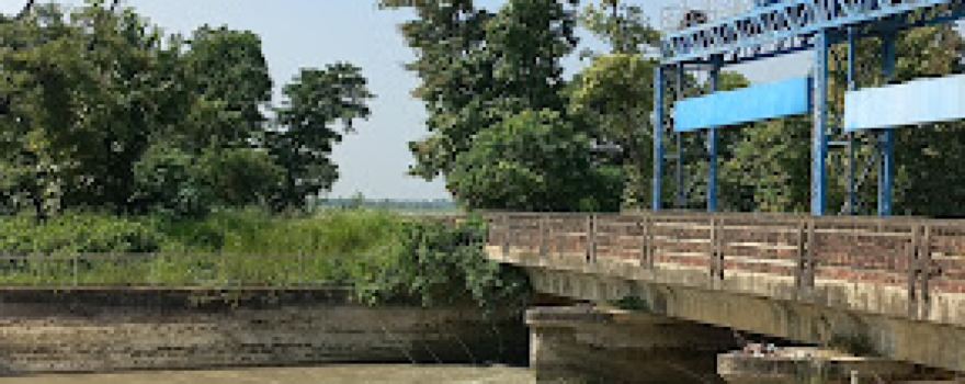 Singaha Regulator