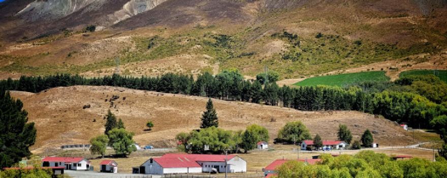 Molesworth Station