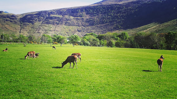 Lochranza Campsite and Golf