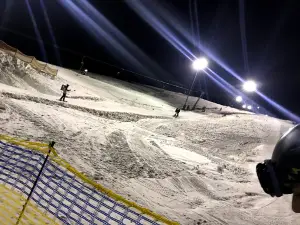 skieldorado HRAST