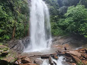 Kodachadri Hidlumane waterfalls