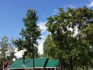 Agrousad'ba "Ozernaya 13"