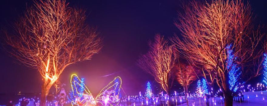 Mogamigawa Furusato Park