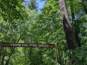 Pine Grove Park