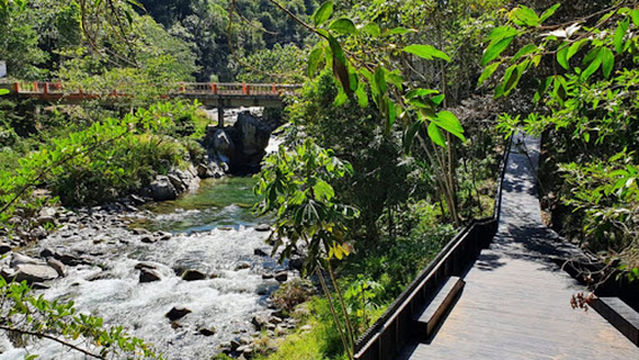 SAJOMA (Logo) san jose de las matas