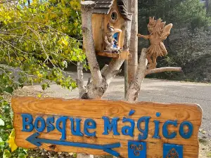 Bosque Mágico de la Fuente del Pino
