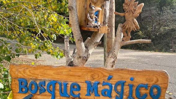 Bosque Mágico de la Fuente del Pino
