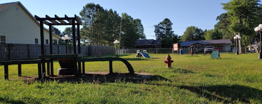 Scentral Park - New Llano Dog Park