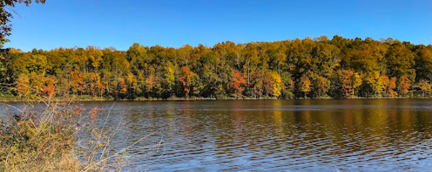 Gilbert Run Park
