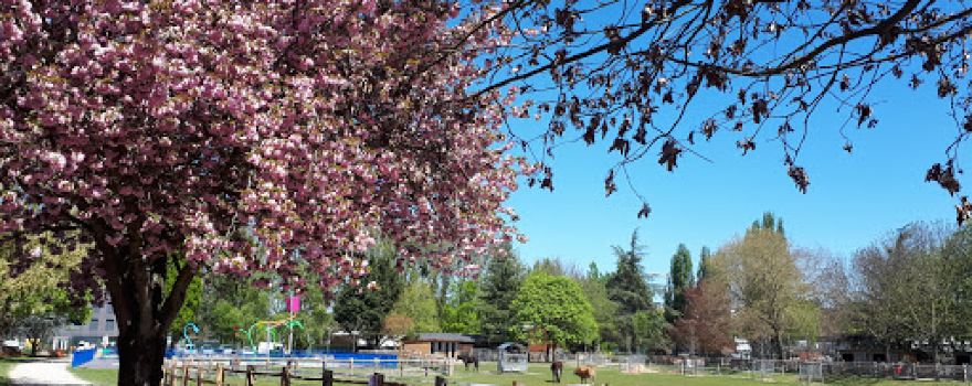 Park 33 Hectares