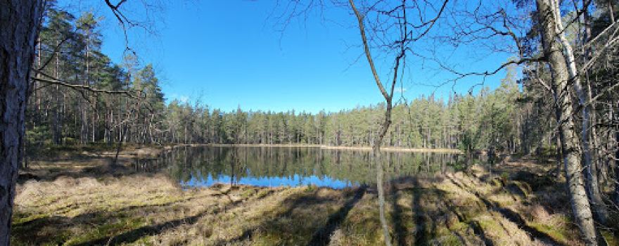 Mårsätter
