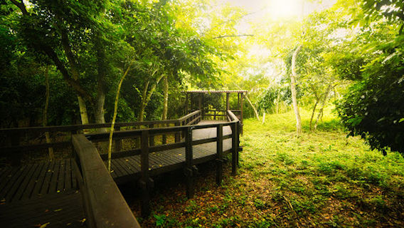 Mirador de Canek