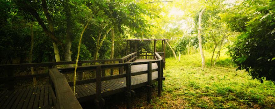 Mirador de Canek