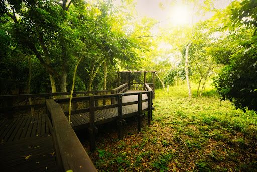 Mirador de Canek