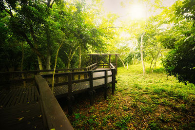 Mirador de Canek