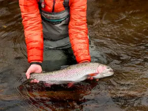 Bear Paw River Guides LLC