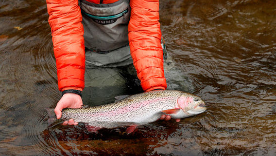 Bear Paw River Guides LLC