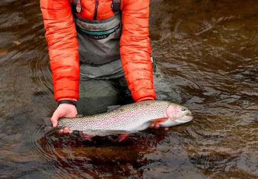 Bear Paw River Guides LLC