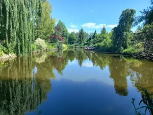 Centrum ogrodnicze Artur Maj DAGLEZJA NA ZIELONEJ Arboretum