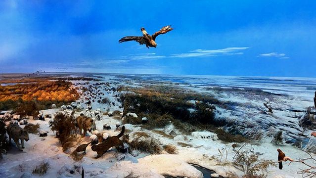 Sanjiang Plain Wetland Education Center