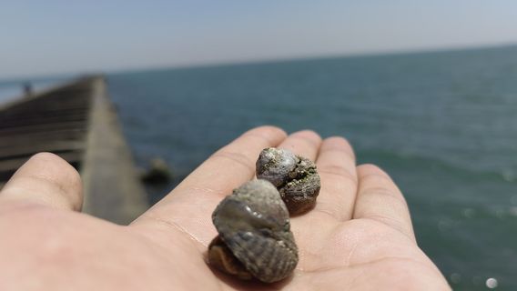 Gudong Seawall Beach