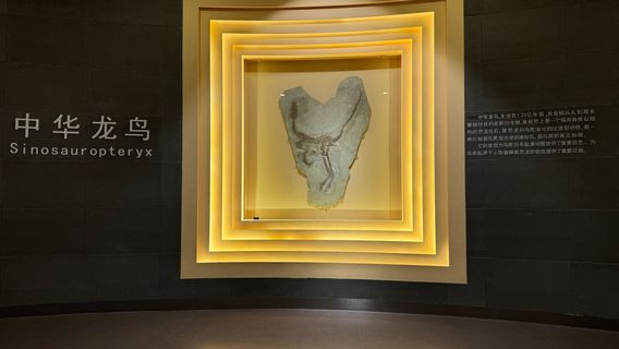 Liaoning Gushengwu Huashi Museum