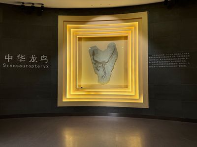 Liaoning Gushengwu Huashi Museum