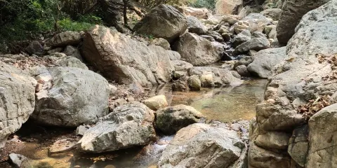 九頭崖鳳凰穀景區