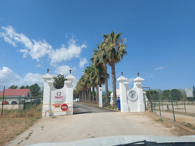 Trust dog resort
