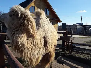 Kontaktnyy Zoopark "Dereven'ka
