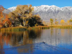 Millpond Recreation Area