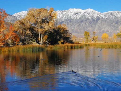 Millpond Recreation Area