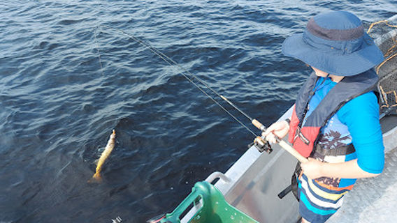 Swedfishing AB