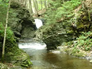 Council Cup Campground