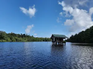 Madu Ganga