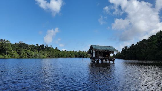Madu Ganga