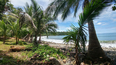 Playa Piñuela