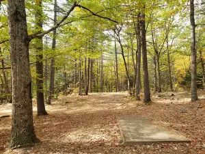Woodland Valley Disc Golf