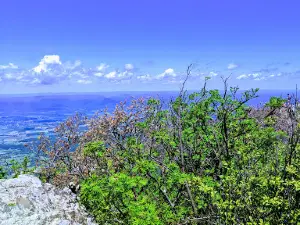 Stony Man Mountain summit