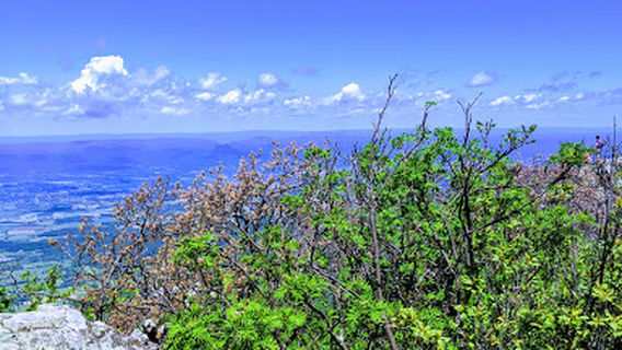Stony Man Mountain summit
