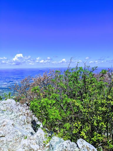 Stony Man Mountain Summit Lookout