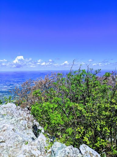 Stony Man Mountain Summit Lookout