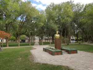 Plaza Tricao Malal