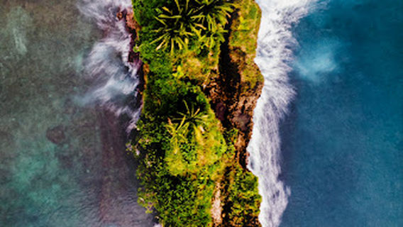 Isla Cocles
