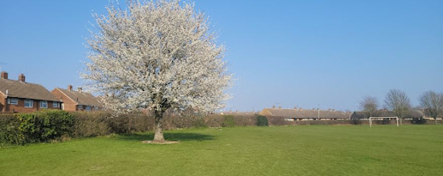 Sawley Park